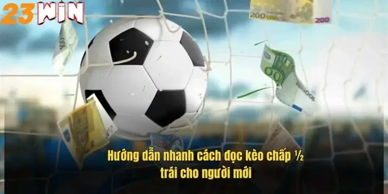 huong-dan-nhanh-cach-doc-keo-chap-nua-trai-cho-nguoi-moi