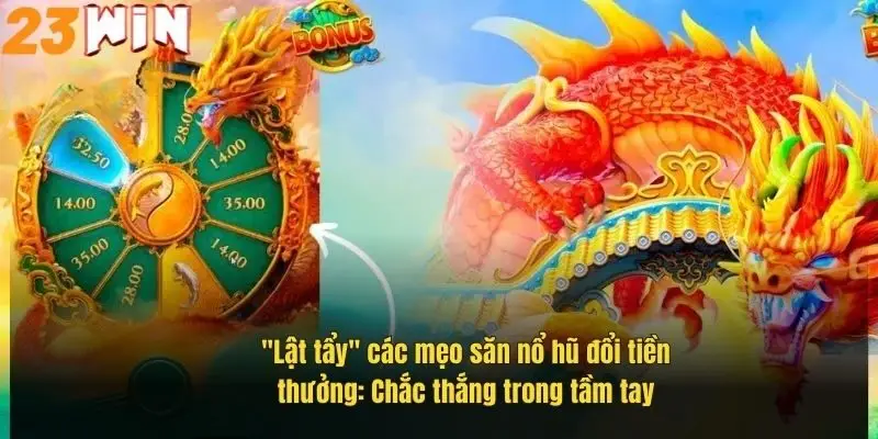 lat-tay-cac-meo-san-no-hu-doi-tien-thuong-chac-thang-trong-tam-tay