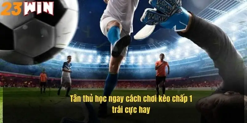 Kèo Chấp Một Trái – Cách Đọc Kèo Chuẩn Và Bí Quyết Thắng Lớn 1 tan-thu-hoc-ngay-cach-choi-keo-chap-mot-trai-cuc-hay